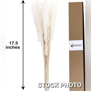 Pampas grass decor!